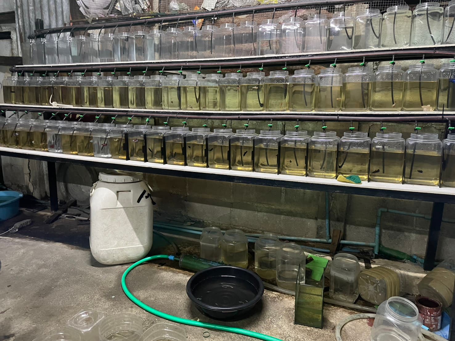 เกี่ยวกับเรา